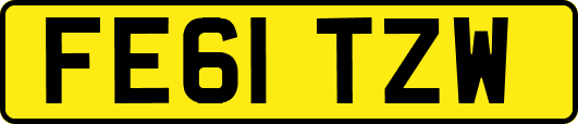 FE61TZW