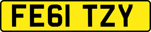 FE61TZY