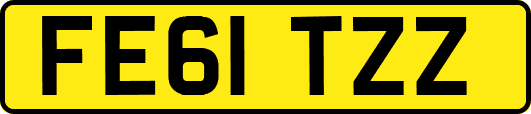 FE61TZZ