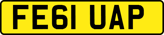 FE61UAP
