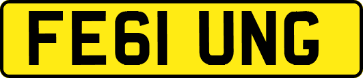 FE61UNG