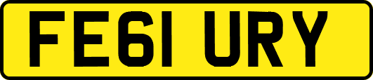 FE61URY