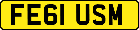 FE61USM