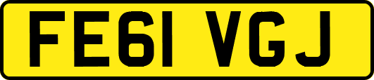 FE61VGJ