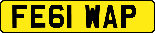 FE61WAP