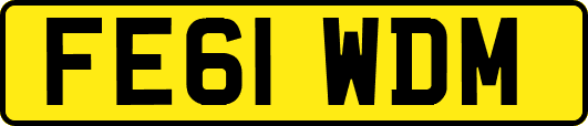 FE61WDM