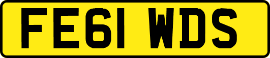 FE61WDS