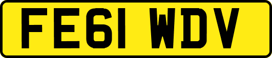 FE61WDV