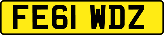 FE61WDZ