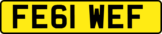 FE61WEF