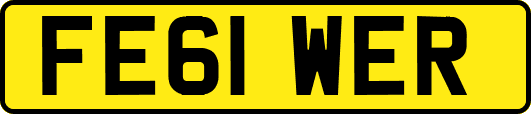 FE61WER