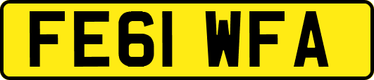 FE61WFA