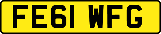 FE61WFG