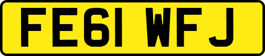 FE61WFJ