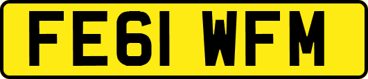 FE61WFM