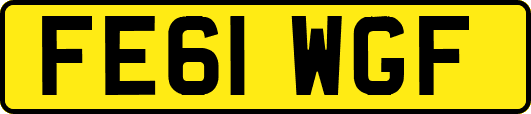FE61WGF