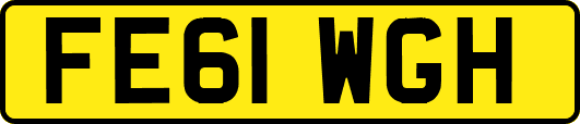 FE61WGH