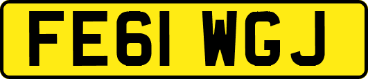 FE61WGJ