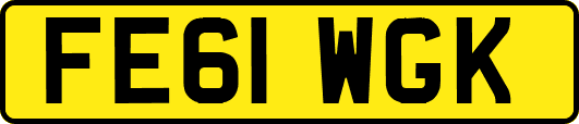 FE61WGK