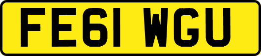 FE61WGU