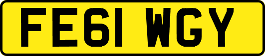 FE61WGY