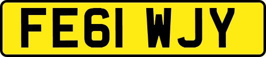 FE61WJY