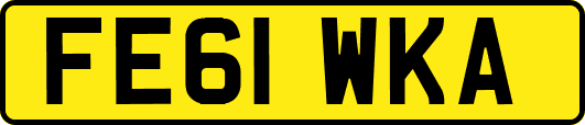 FE61WKA