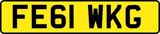 FE61WKG