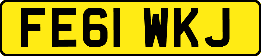 FE61WKJ