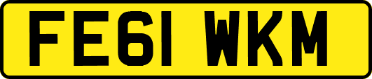 FE61WKM