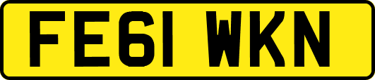 FE61WKN