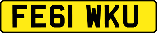 FE61WKU