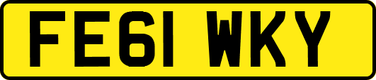 FE61WKY