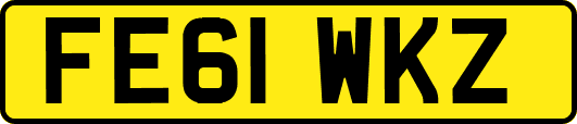FE61WKZ