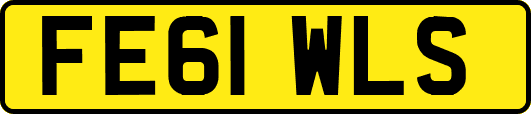 FE61WLS