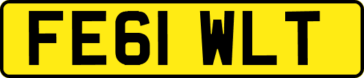 FE61WLT