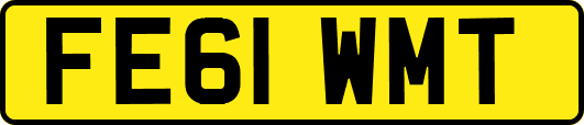 FE61WMT