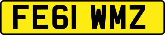 FE61WMZ