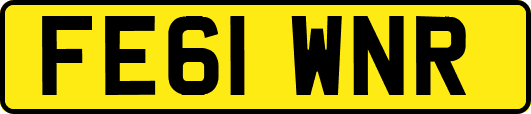 FE61WNR