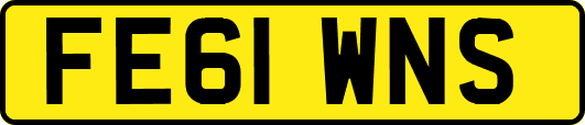 FE61WNS