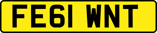 FE61WNT