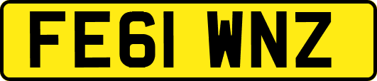 FE61WNZ