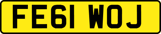 FE61WOJ
