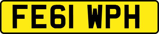 FE61WPH