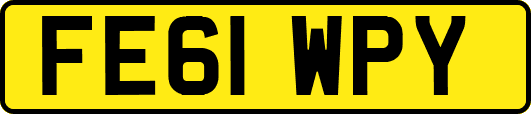 FE61WPY