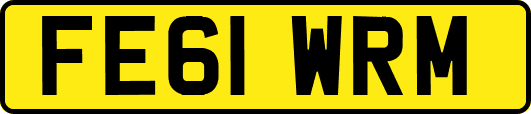 FE61WRM