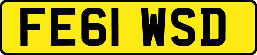 FE61WSD