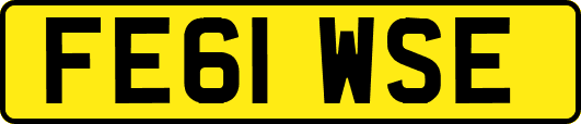 FE61WSE