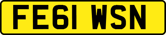 FE61WSN