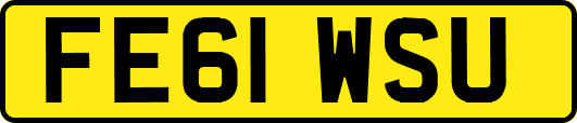 FE61WSU